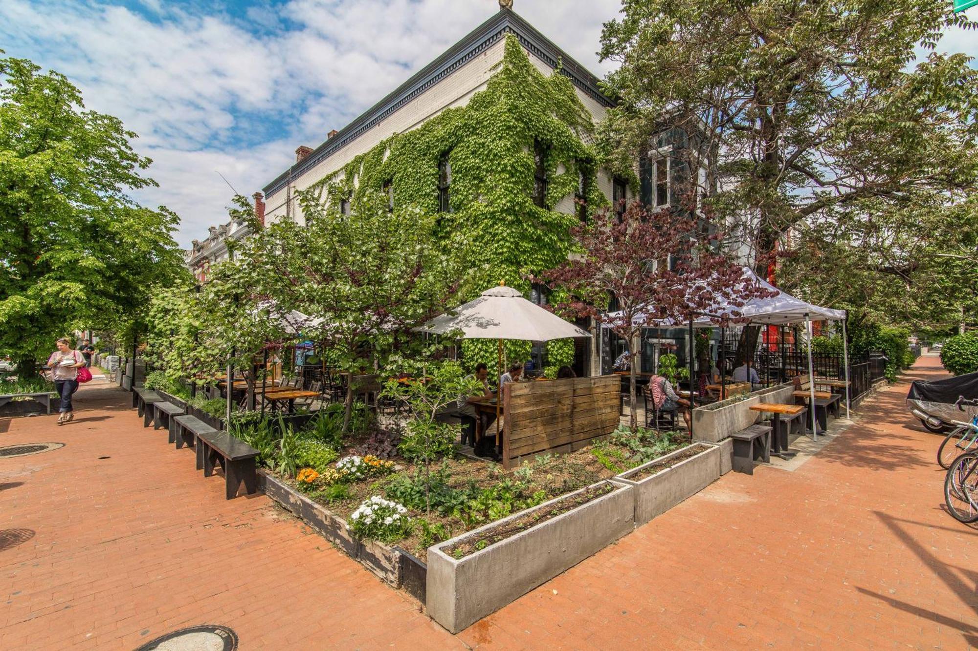 Stylish Renovated Flat, Central, Walk To Dc Sights Distrito de Colúmbia Exterior foto
